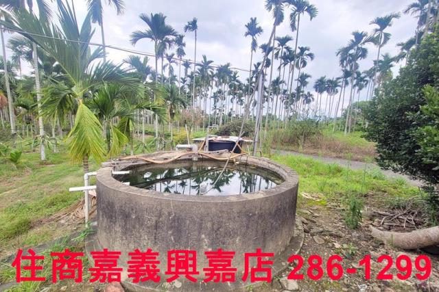 嘉義中埔農地-4