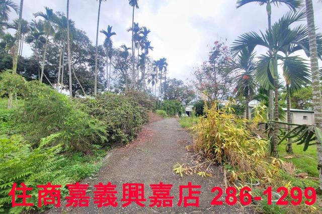 嘉義中埔農地-5