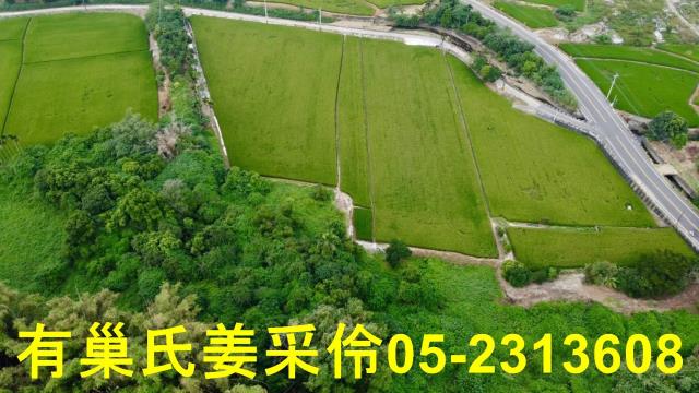 民雄農地-9