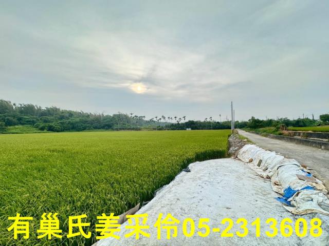 民雄農地-1