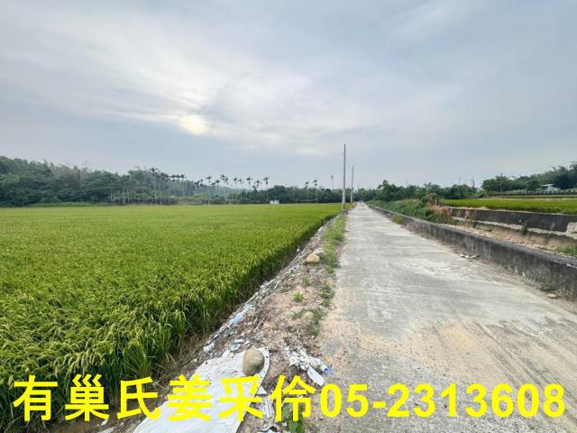 民雄農地-3
