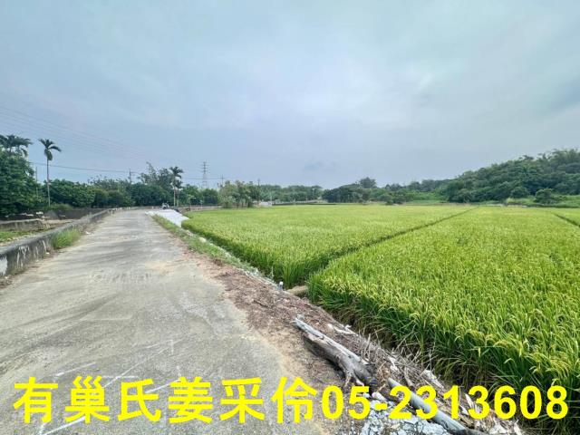 民雄農地-4