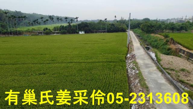 民雄農地-6