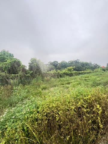 嘉義水上農地-10