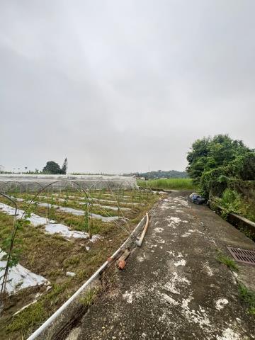 嘉義水上農地-5