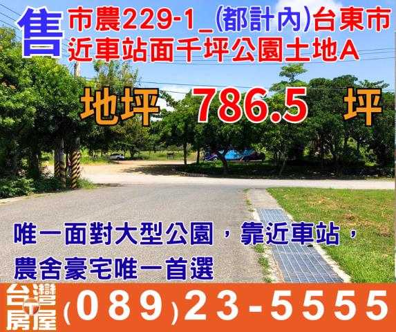 台東台東市農地-0