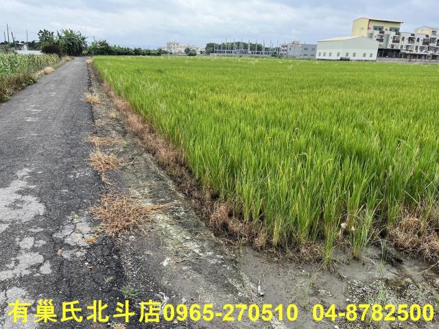埔鹽農地-7