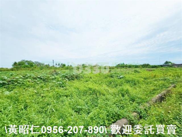 台南新市農地-4
