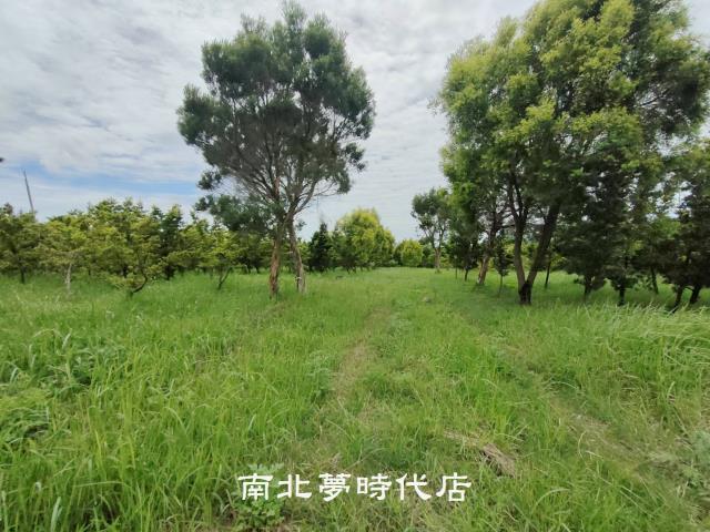 台南六甲農地-11