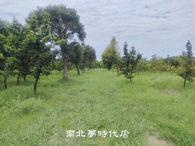 台南六甲農地-3