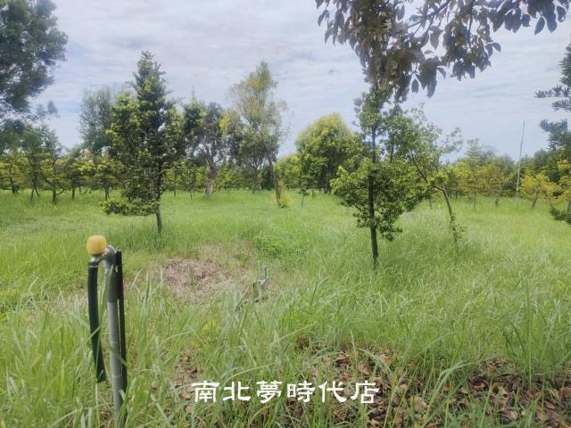 台南六甲農地-4