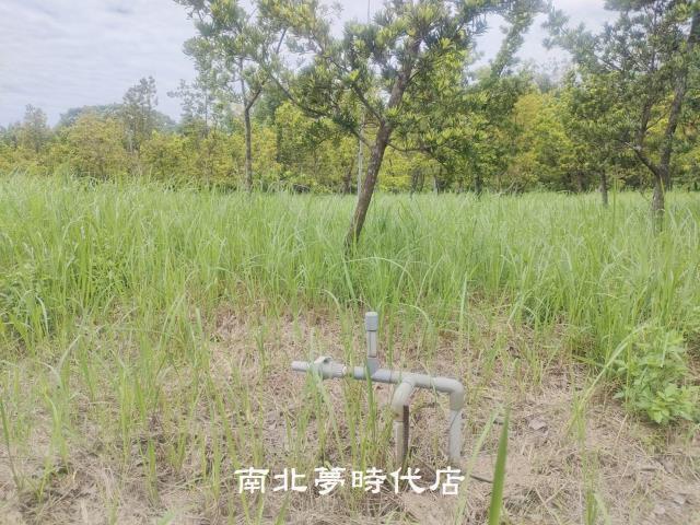 台南六甲農地-5