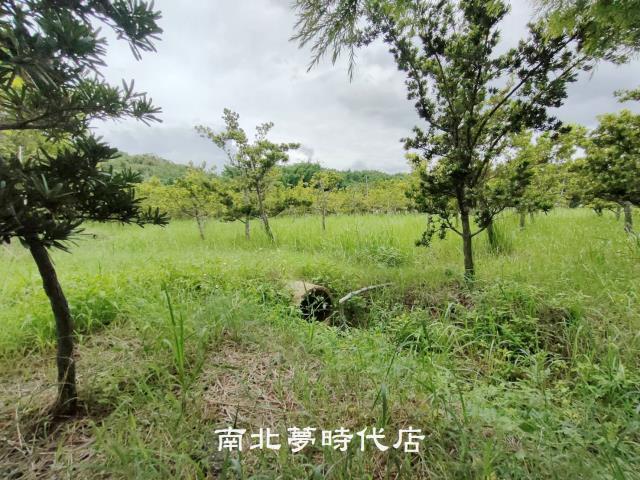 台南六甲農地-8