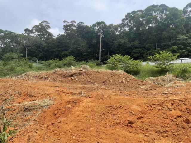 桃園楊梅工業地-2