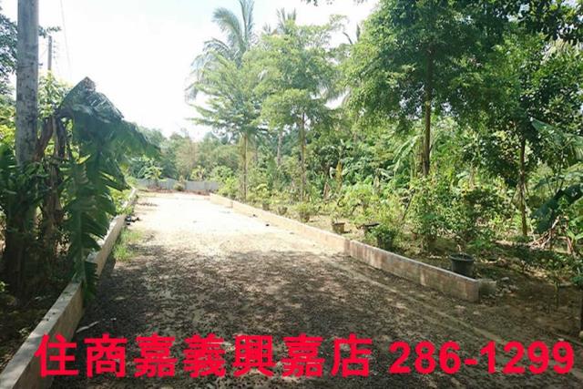 嘉義東區農地-10