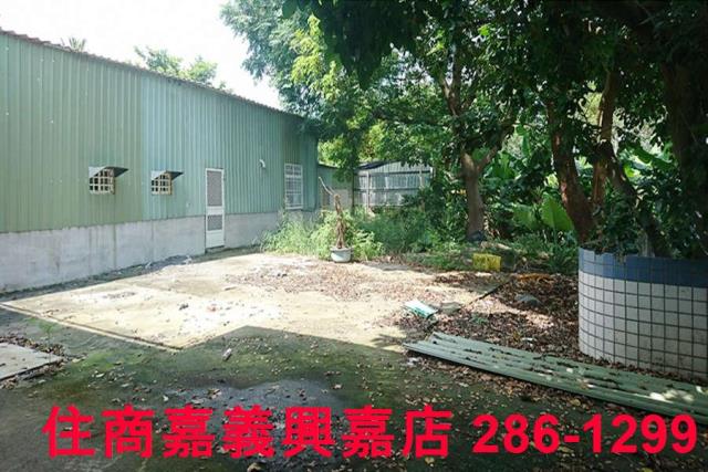 嘉義東區農地-6