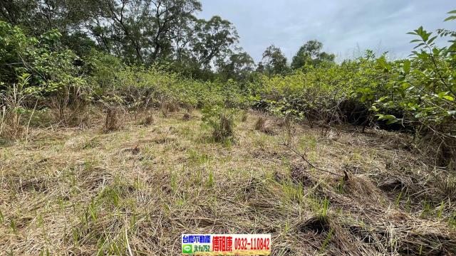 新竹農地-8