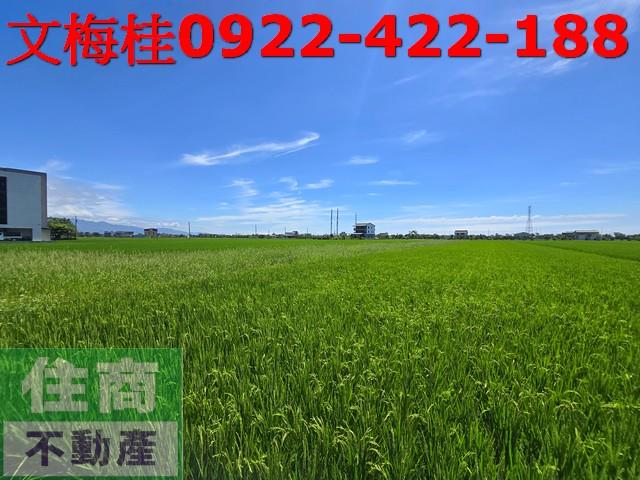 宜蘭宜蘭市農地-1