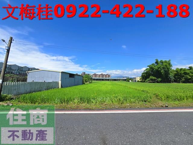 宜蘭宜蘭市農地-3