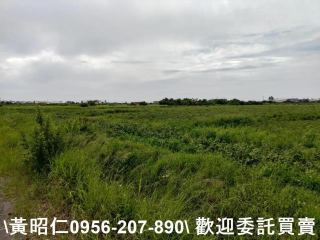 台南七股農地-1