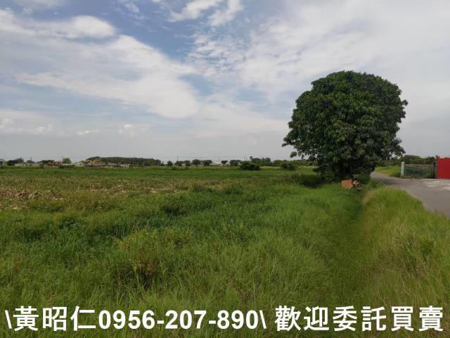 台南七股農地-5