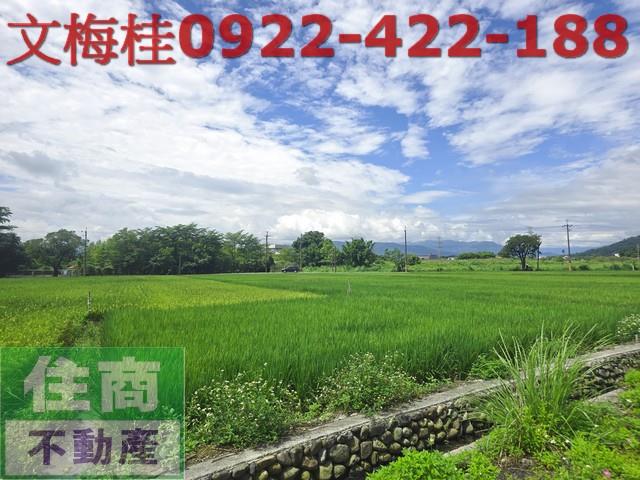 員山農地-0