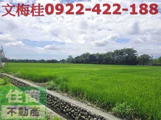 員山農地-3