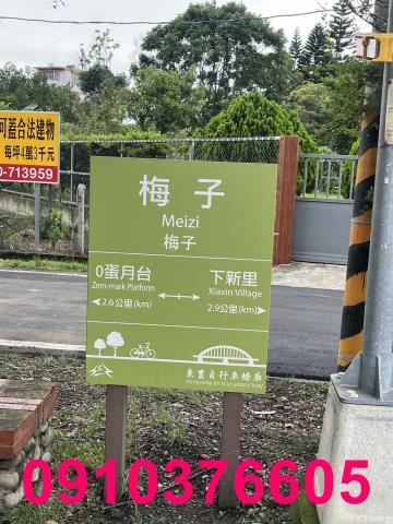 台中農地-9