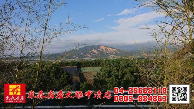 外埔農地-3