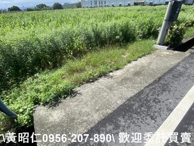 安定農地-11