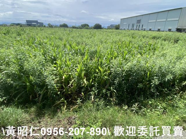 安定農地-2