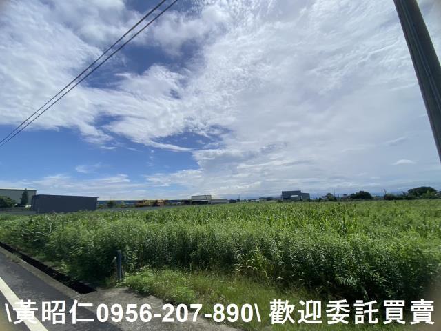 安定農地-3