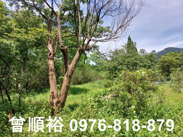 新竹橫山農地-3