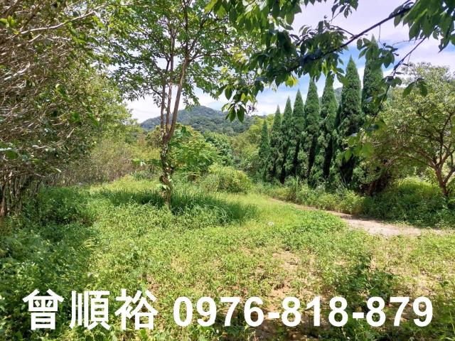 新竹橫山農地-4