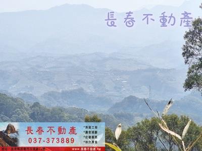 大湖農地-1
