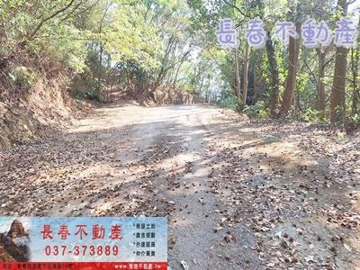 大湖農地-3