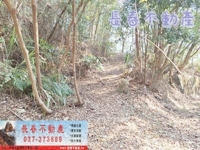 大湖農地-4
