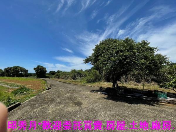 淡水農地-4