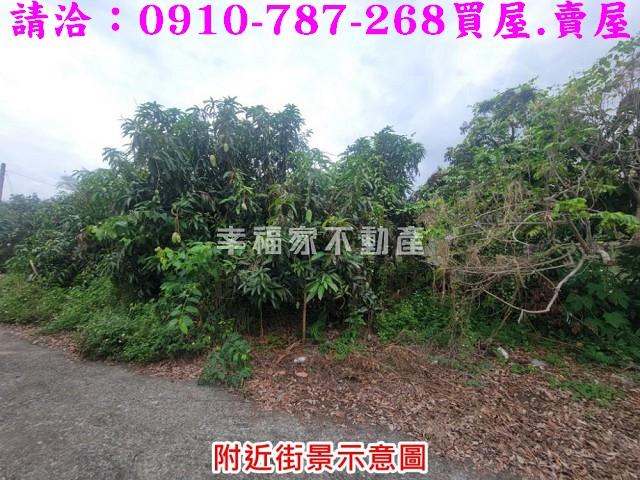 台南楠西建地-9