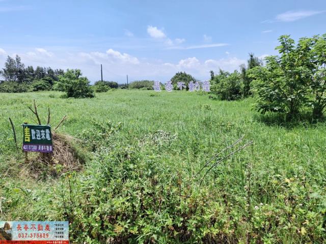 後龍農地-1