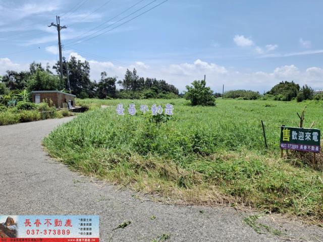後龍農地-4