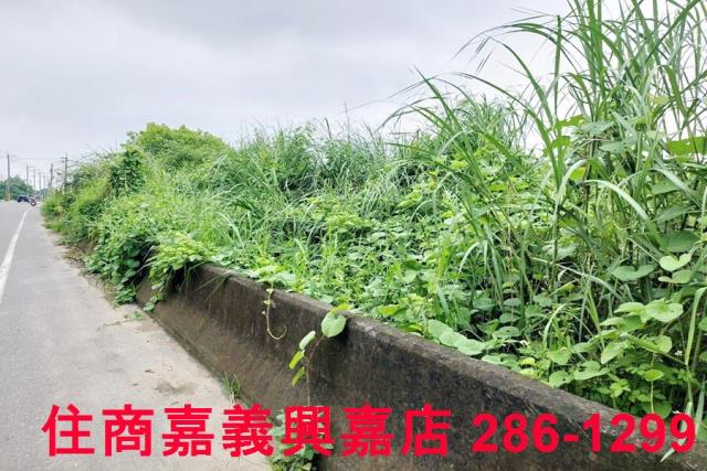 台南建地-1