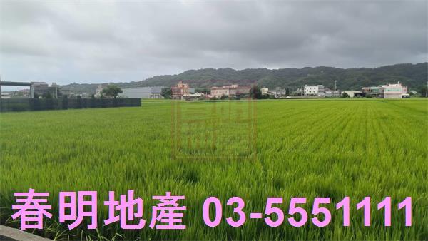 竹北農地-4