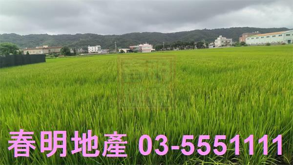 竹北農地-6