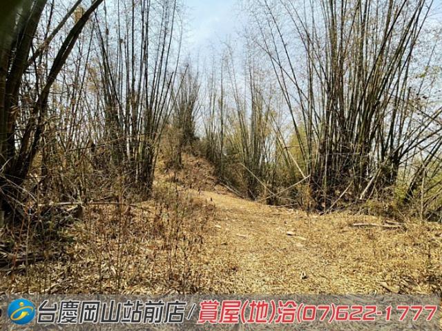 田寮農地-6