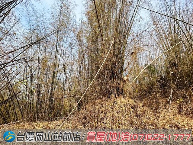 田寮農地-9