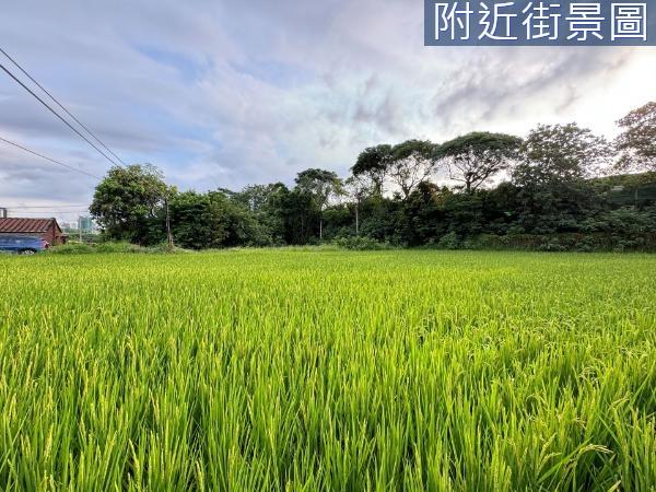 新竹東區農地-1