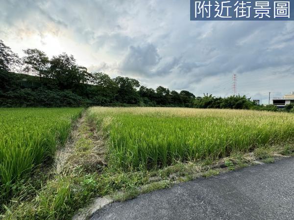 新竹東區農地-2