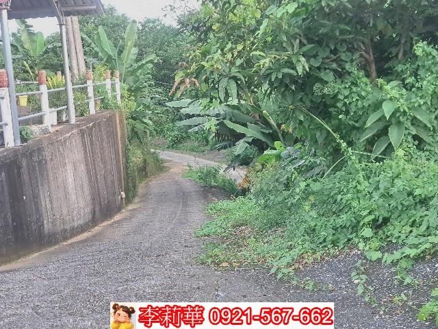 左鎮農地-3