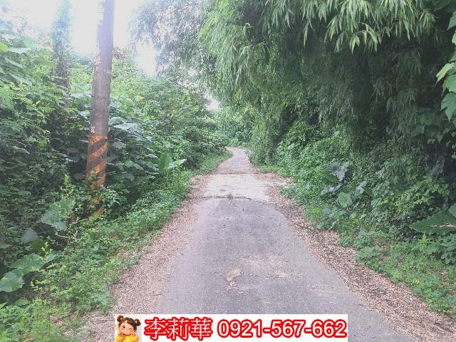 左鎮農地-4